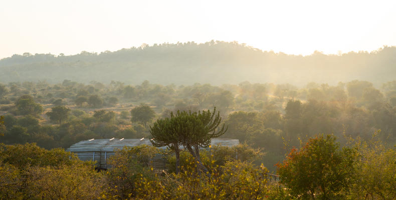 Singita Lebombo Lodge View