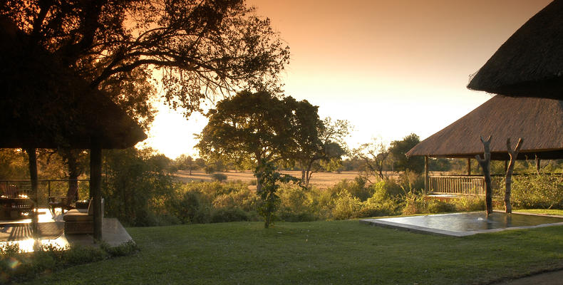 Bush Lodge View