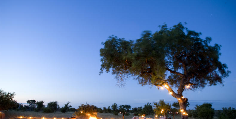 Ngala Private Game Reserve