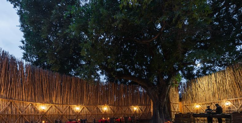 The Boma