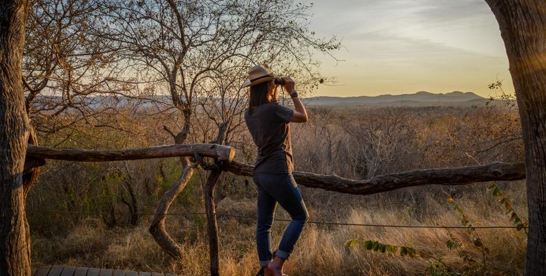 Dithaba Lodge - Bird watching 
