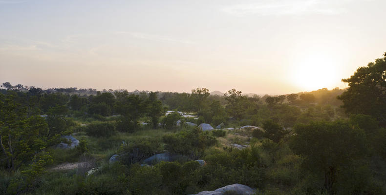 Londolozi Pioneer Camp - 6 million acres of wilderness 