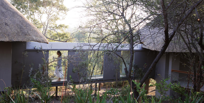 Londolozi Pioneer Camp - Interleading skywalk between rooms