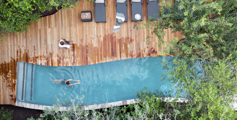 Londolozi Pioneer Camp - Full length Lap pool 