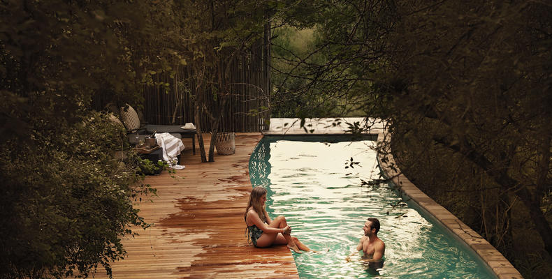 Londolozi Pioneer Camp - Full length Lap Pool 