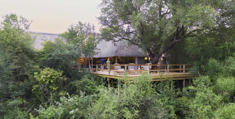 Londolozi Pioneer Camp - Deck surrounded by wilderness 