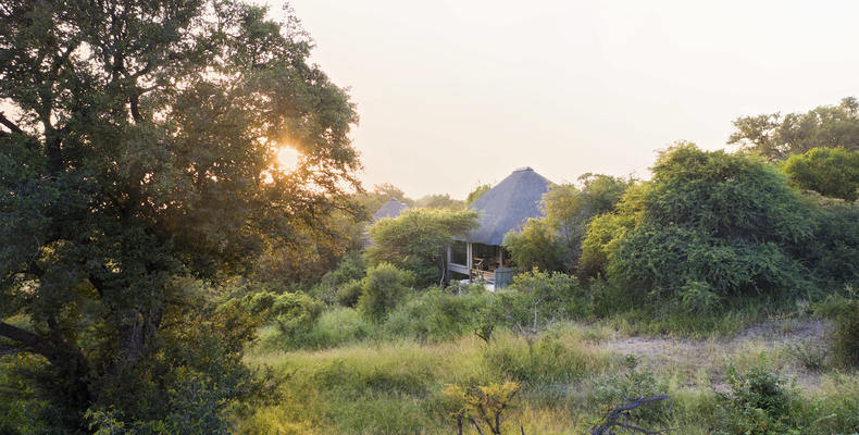 Londolozi Pioneer Camp Suite