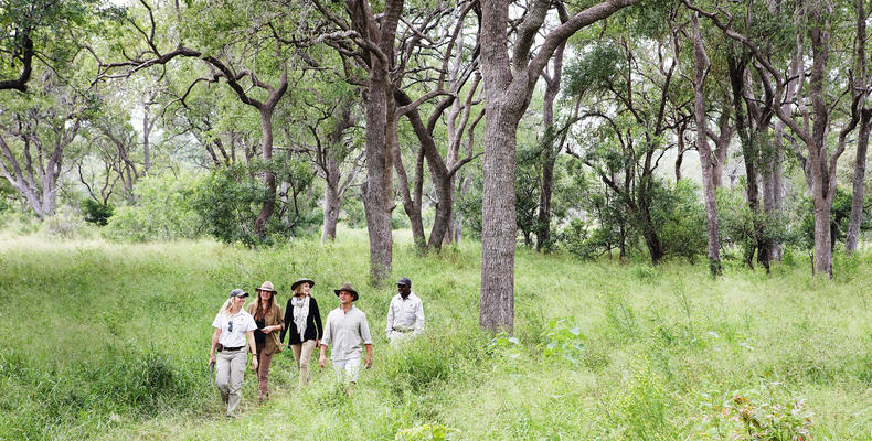 On safari at Londolozi