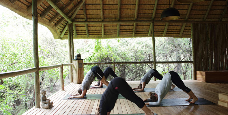 Yoga at Londolozi 