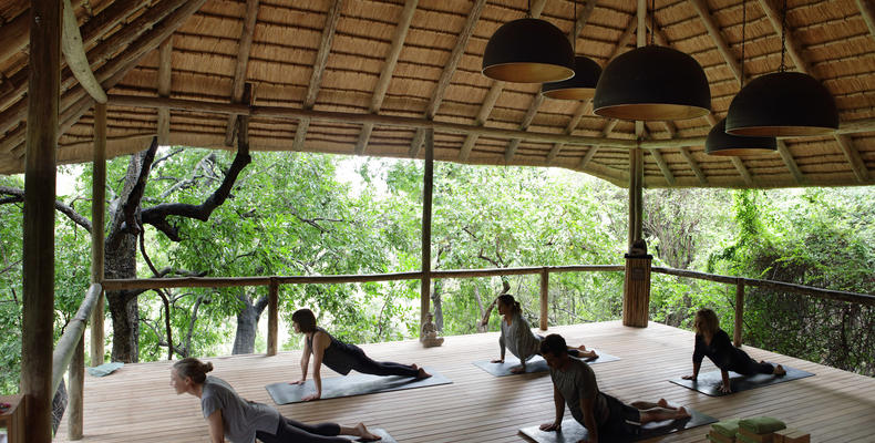 Yoga At Londolozi 