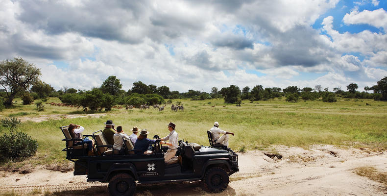 On safari at Londolozi 