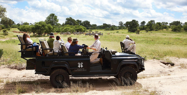 On safari at Londolozi 