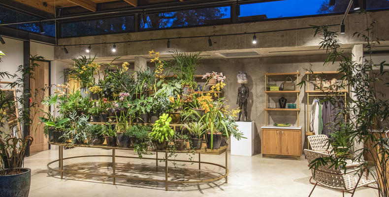 Lion Sands Ivory Lodge - Botanical House