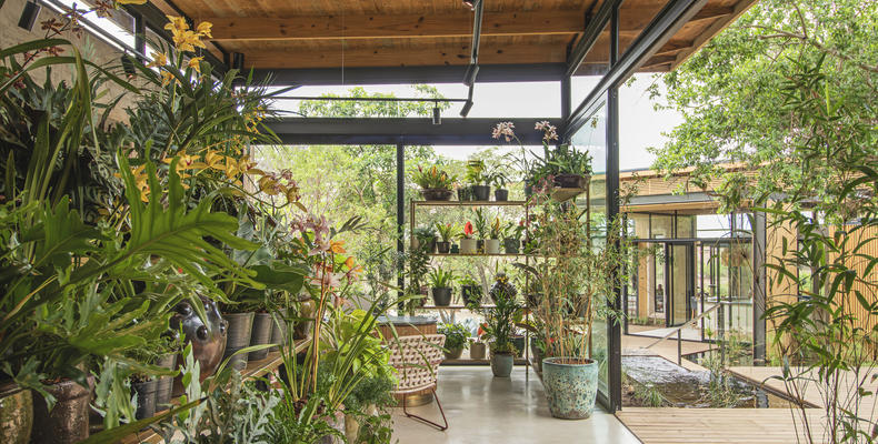 Lion Sands Ivory Lodge - Botanical House