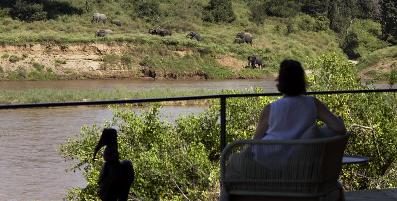 Lion Sands Ivory Lodge - Viewing Deck