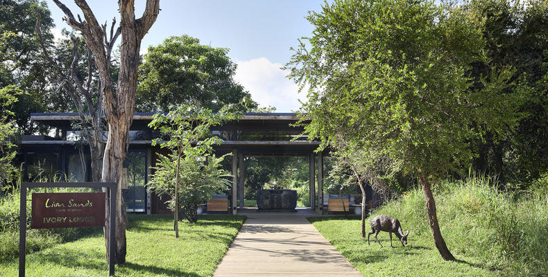 Lion Sands Ivory Lodge - Entrance