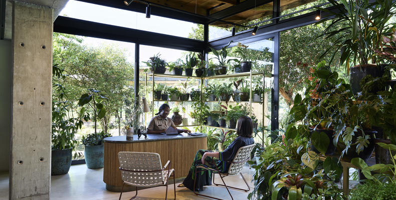 Lion Sands Ivory Lodge - Botanical House Reception