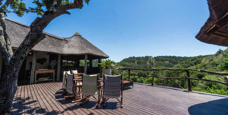 Lalibela Wildlife Reserve - Tree Tops