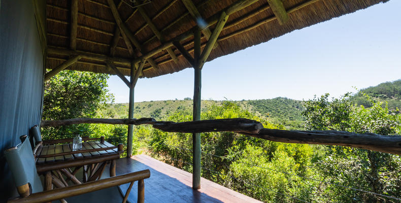 Lalibela Wildlife Reserve - Tree Tops
