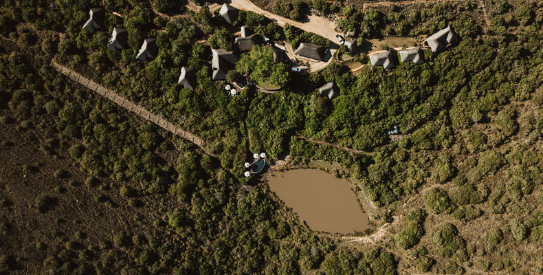 Lalibela Wildlife Reserve - Marks Camp 