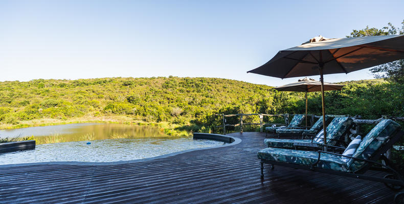 Lalibela Wildlife Reserve - Marks Camp 