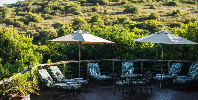 Lalibela Wildlife Reserve - Marks Camp 