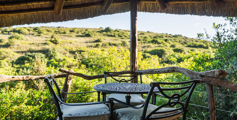 Lalibela Wildlife Reserve - Marks Camp 