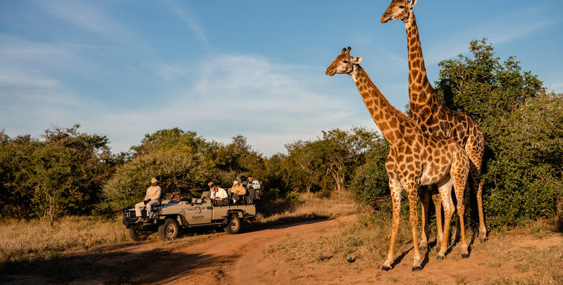 Kapama Wildlife Big Five Safari