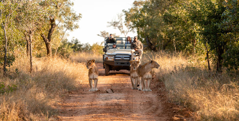 Kapama Wildlife Big Five Safari