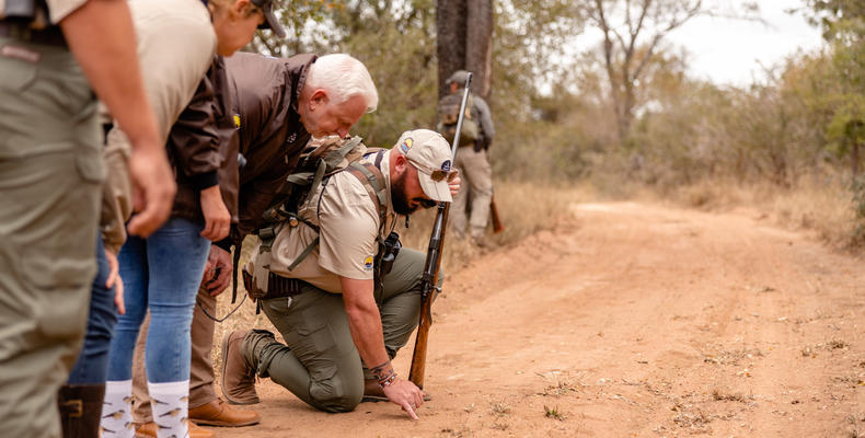 Kapama Wildlife Bush Walk
