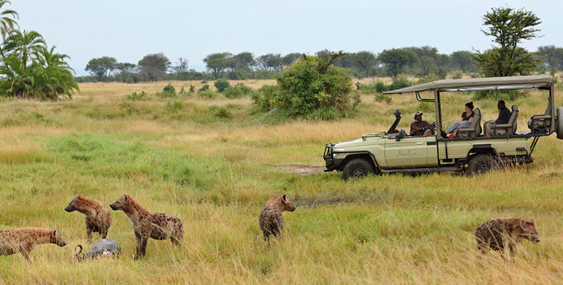 Sayari - Game drive