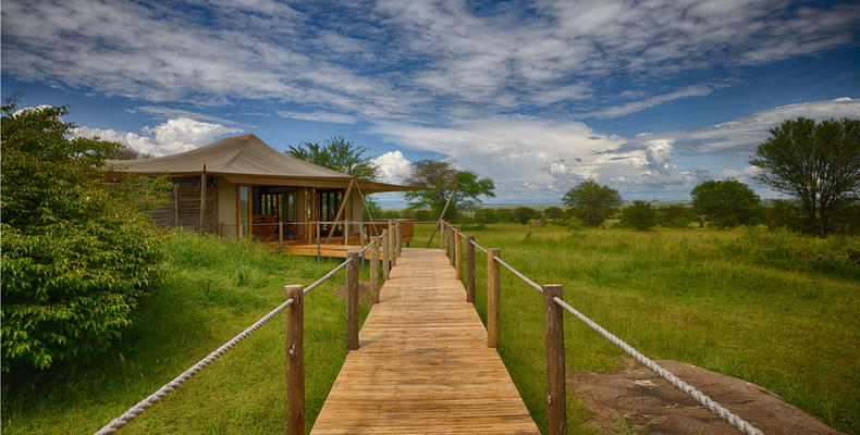 Sayari - walkway to main area