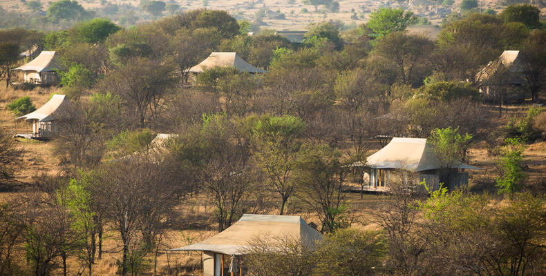 Sayari Camp - Guest tents layout