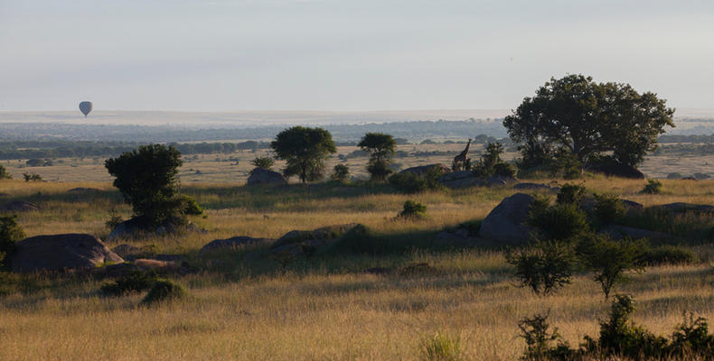 Sayari Camp - Landscape