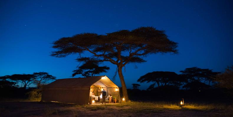 Tent by night