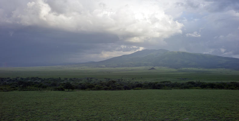 Landscape