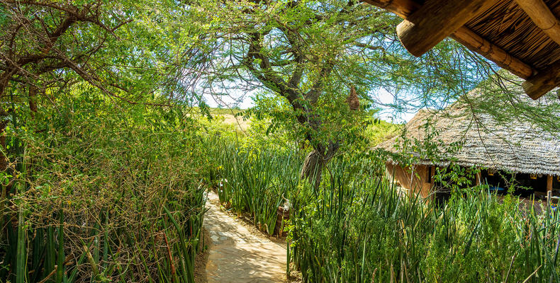 Pathway
