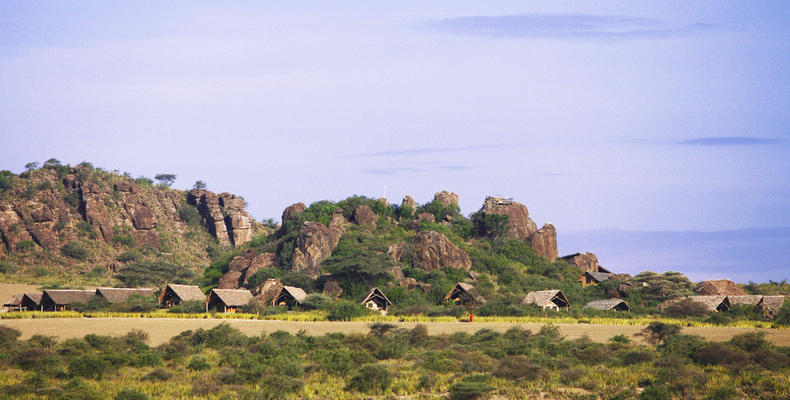 Overview