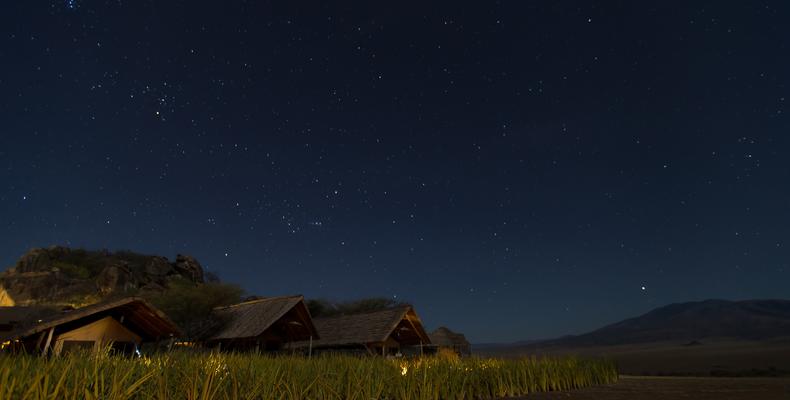 Night