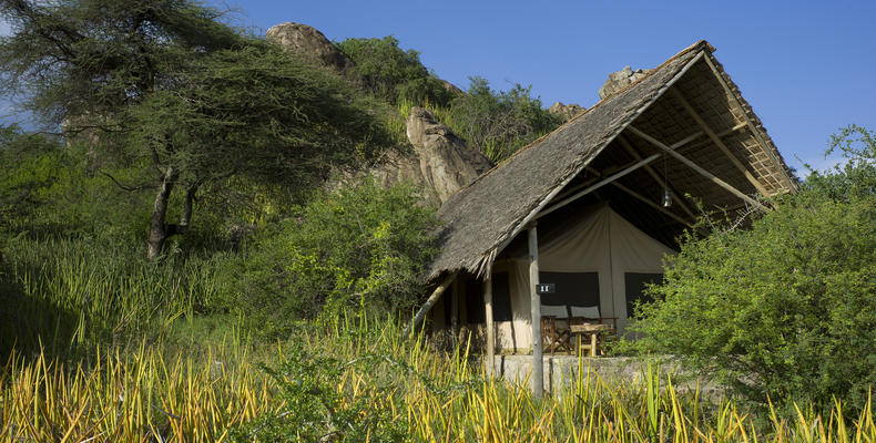 Tent