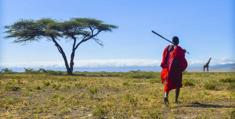 Maasai Walk