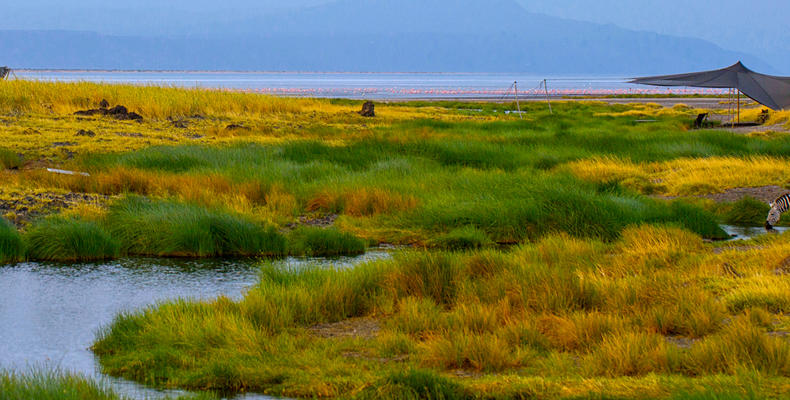 Lake Natron Camp