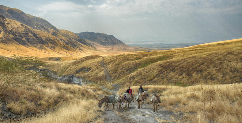 The Great Rift Valley Trek 