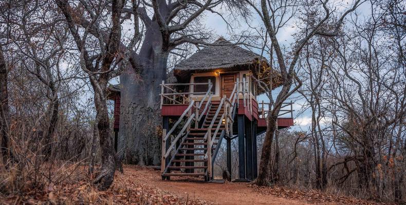 Tarangire Treetops