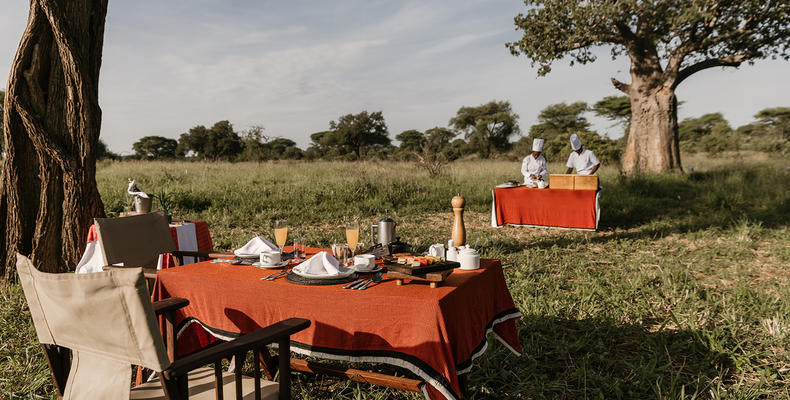 Elewana Tarangire Treetops