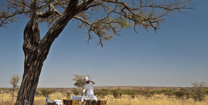 Elewana Tarangire Treetops
