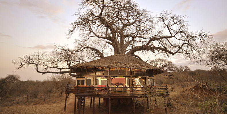 Elewana Tarangire Treetops