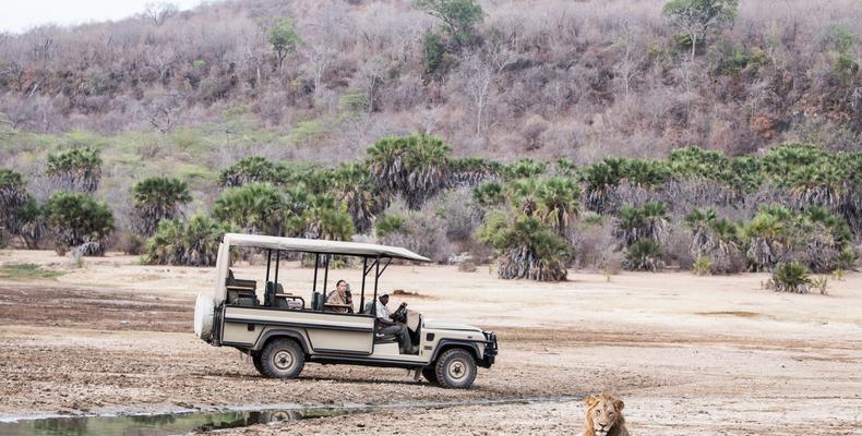 Game drives
