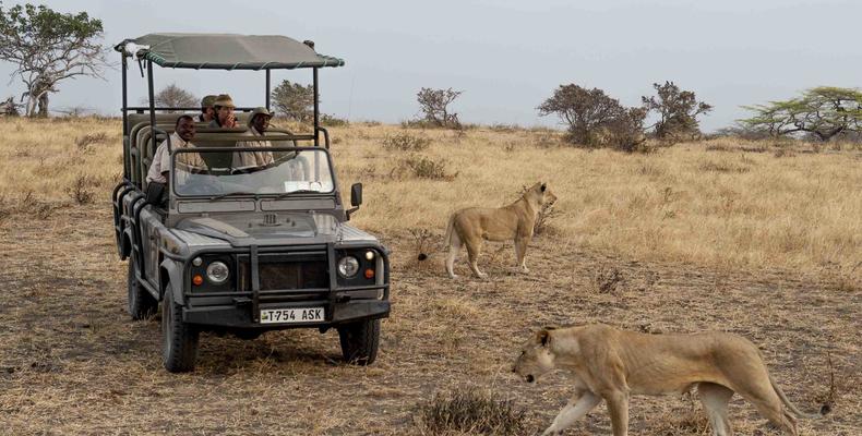 Game Drive