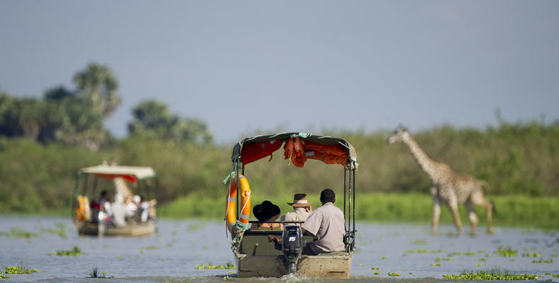Boat Safari